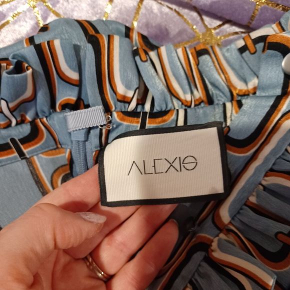 Alexis Cosi Mini Retro Pleated Long Sleeve Dress in Blue Slate Link Print Size S - Picture 7 of 11